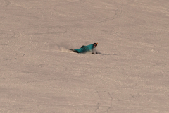zsa09386